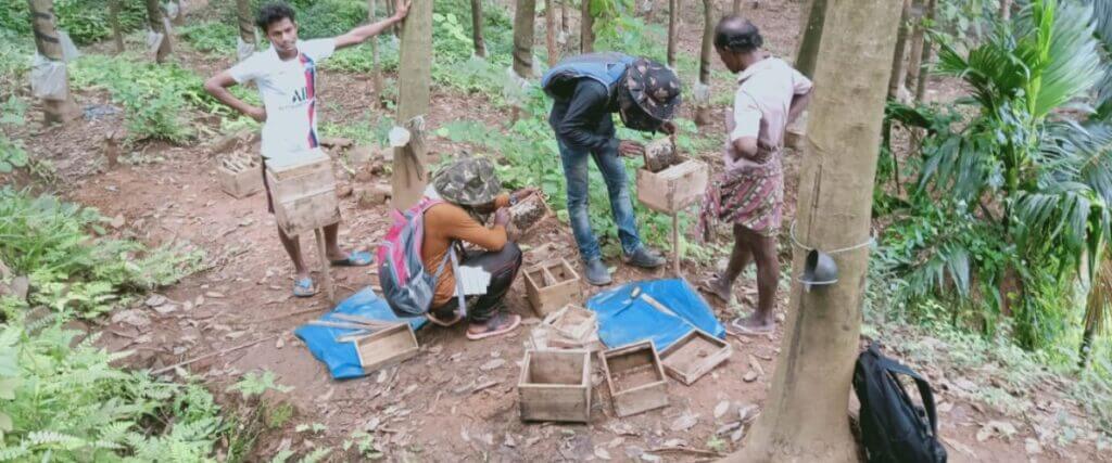 Beekeeping nilambur 1