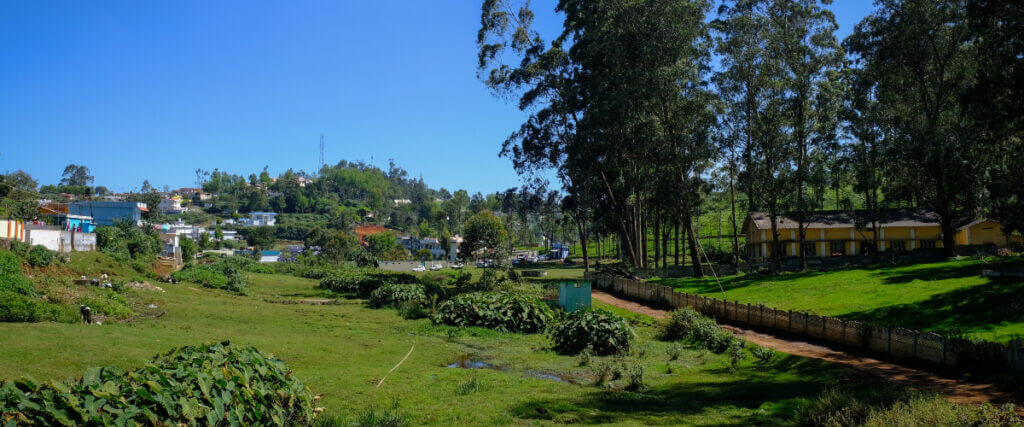 Wetland Post Gokul 1