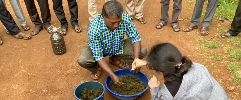 Organic Tea Farming in the Nilgiris header