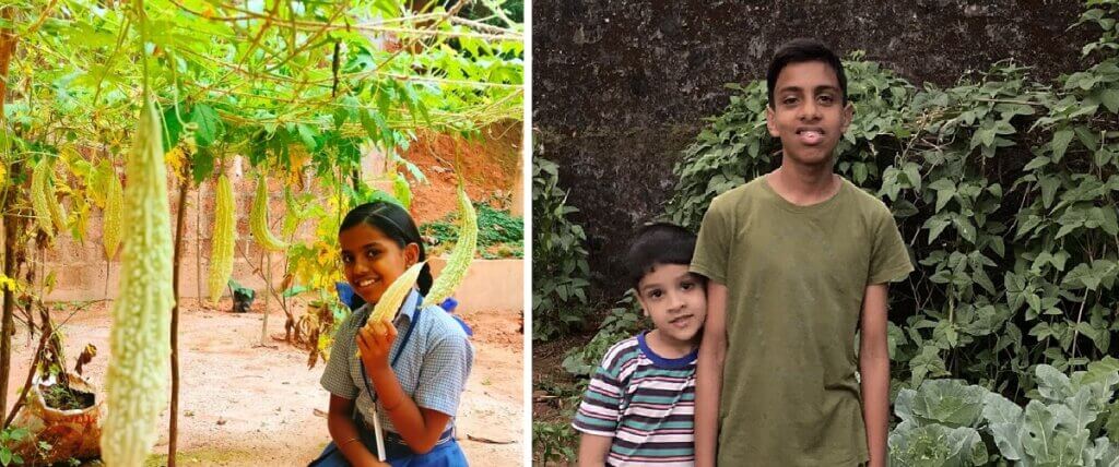 header wayanad kids kitchen gardens
