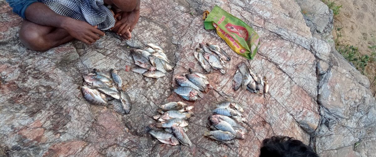 selappan fish hunting community story header