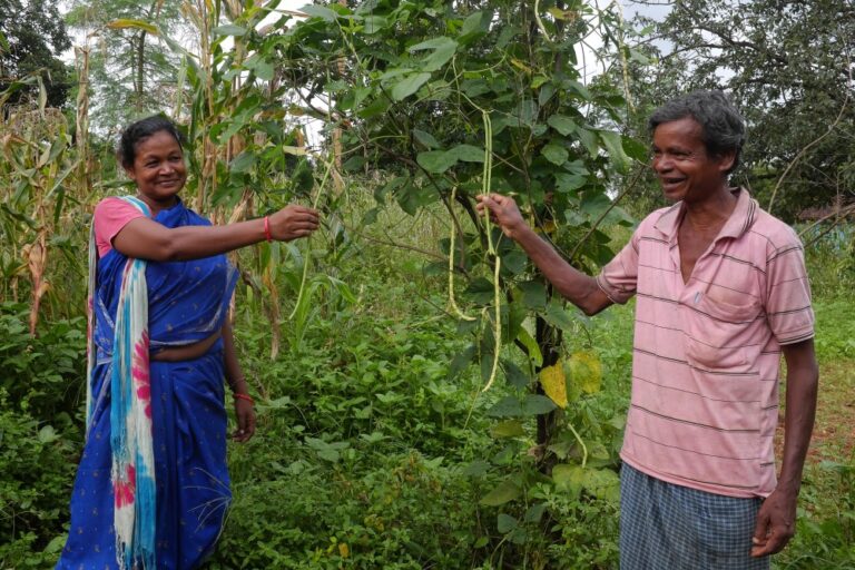 Rowbari and Salai Champia Barbatti, residents of Saranda forests in Churgi village, Manoharpur, West Singhbhum, Jharkhand, show off a local variety of cowpea grown by them.