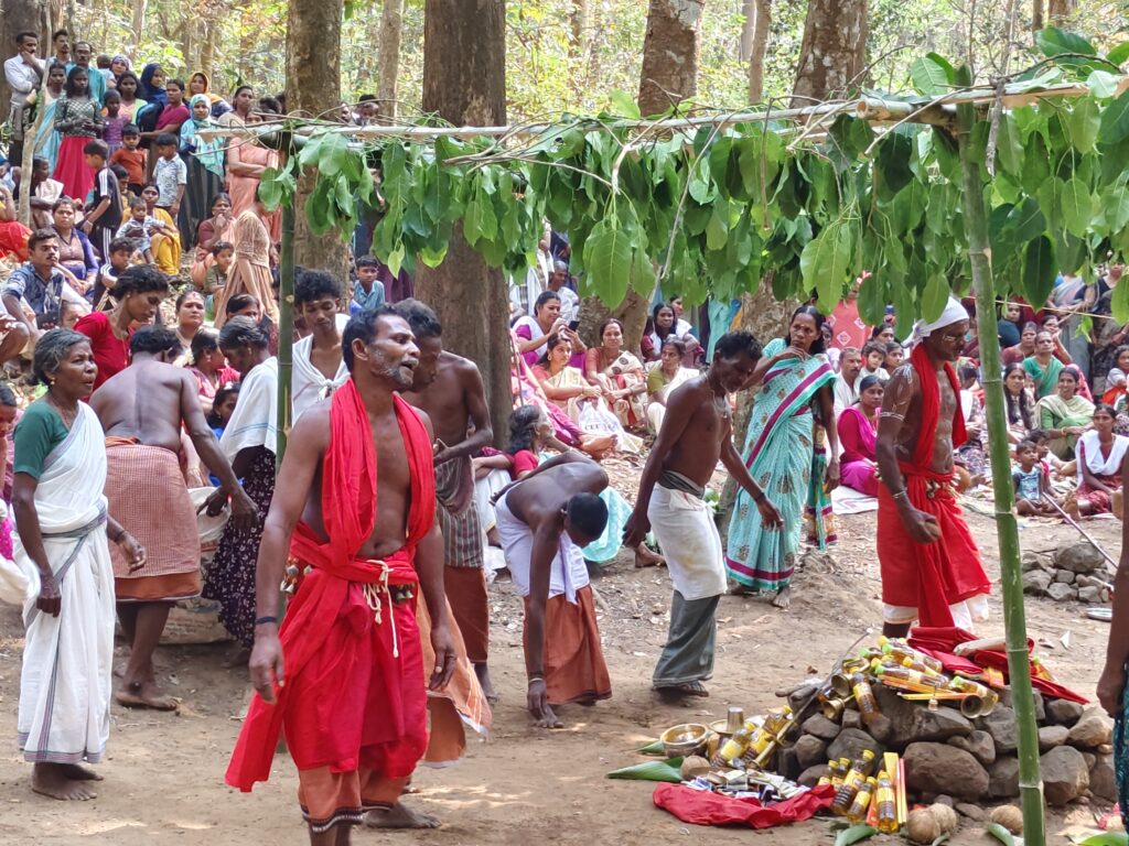 Komaram of the Chennanpotty village, a Paniya community, performing the rituals as believers give offerings for their wishes