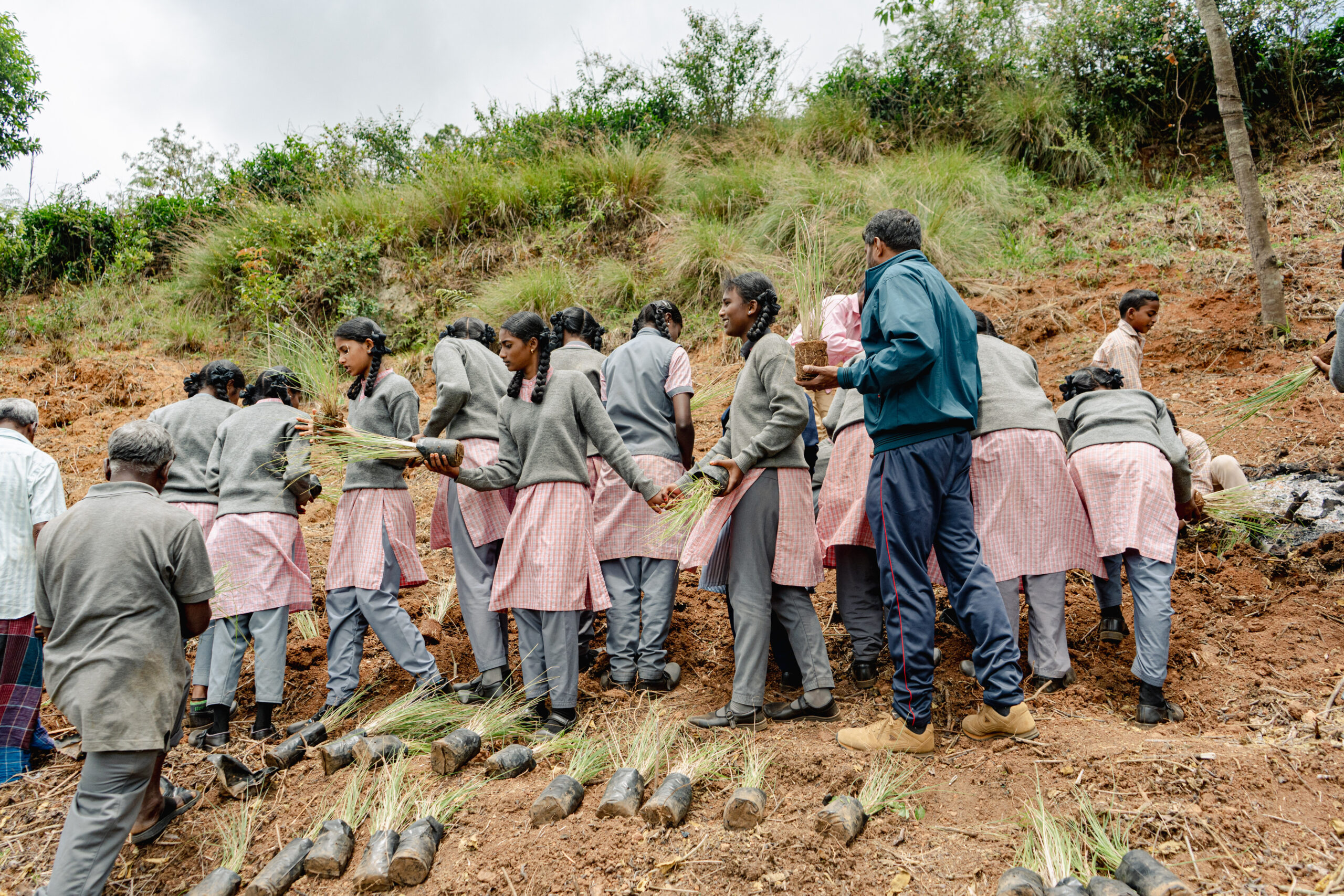 Kaircombai Wetland Planting