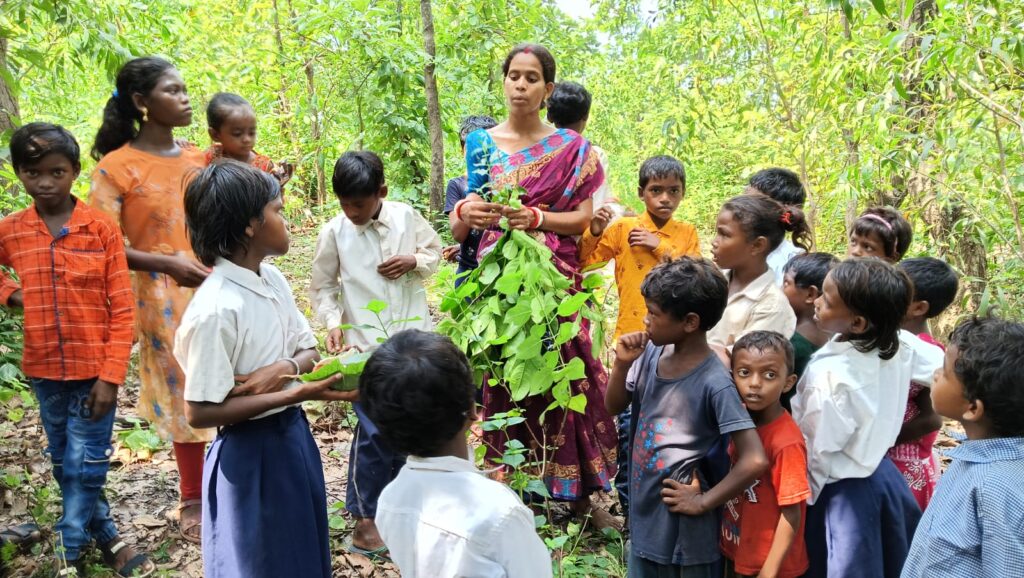 village elder program