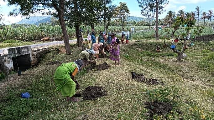 planting around the pond