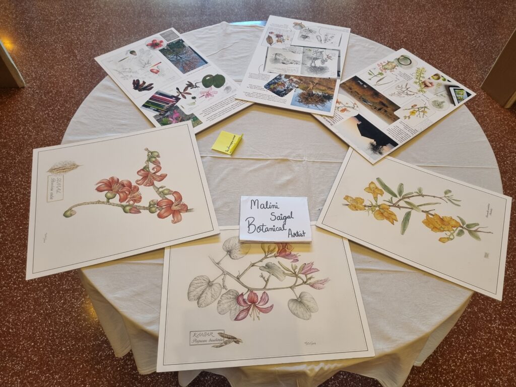 Botanical Artist Malini Saigal's work displayed in Network Mela