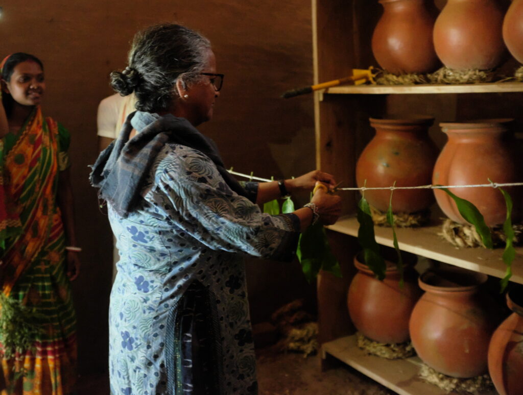 Lapaibera Seed Bank