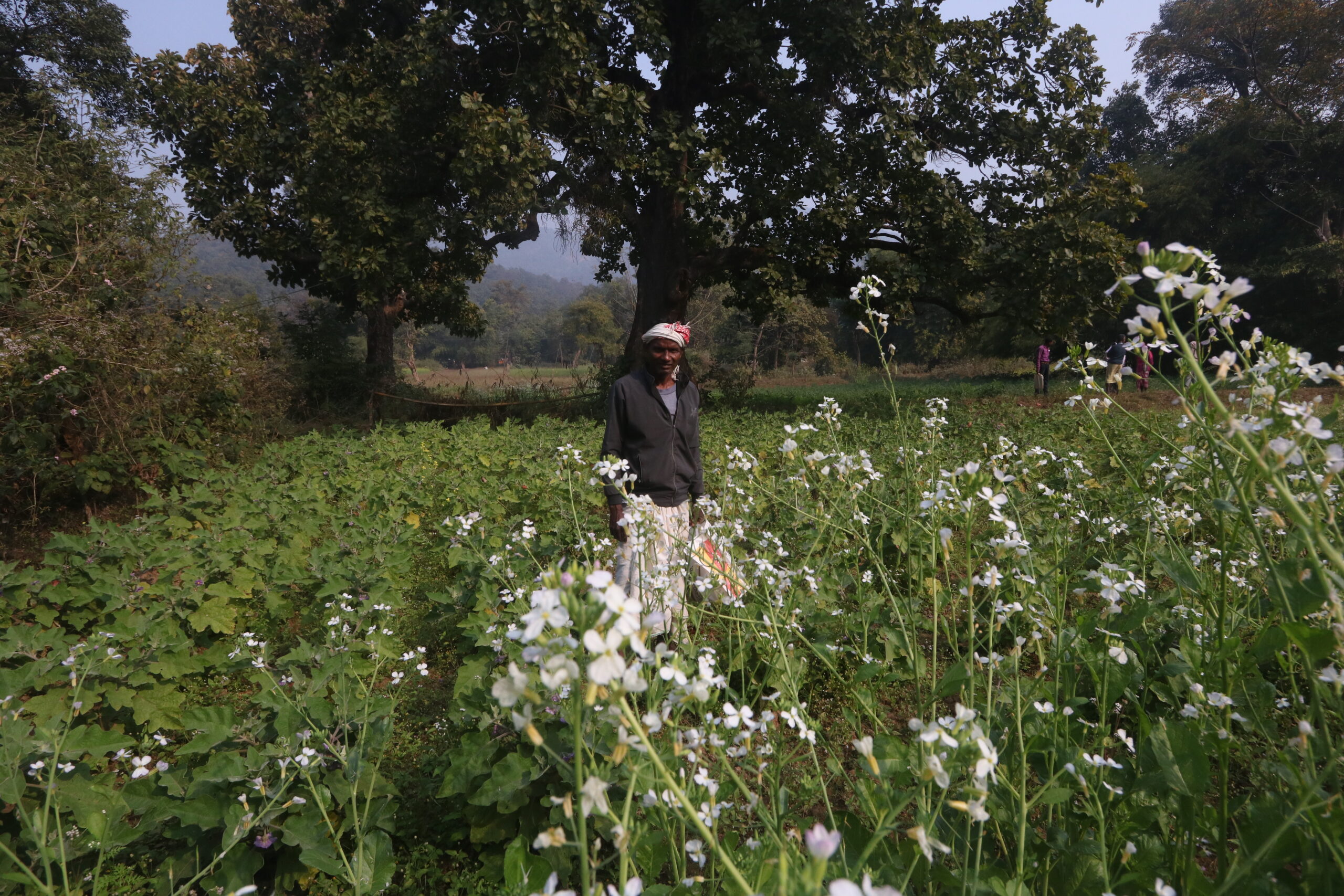 Ramchandra Manjhi 01