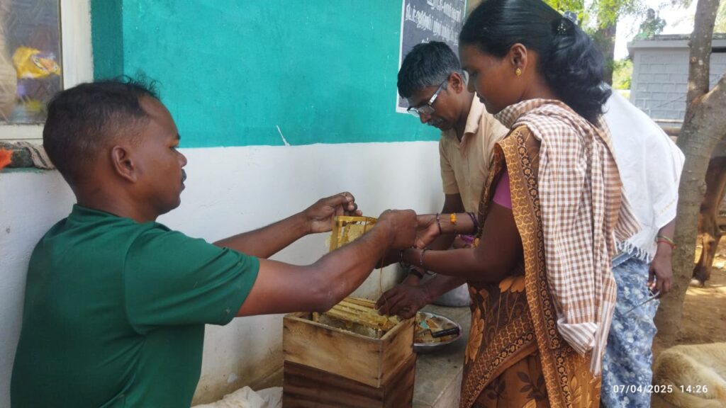 Honey Harvest: Chokanahalli’s Women in Action