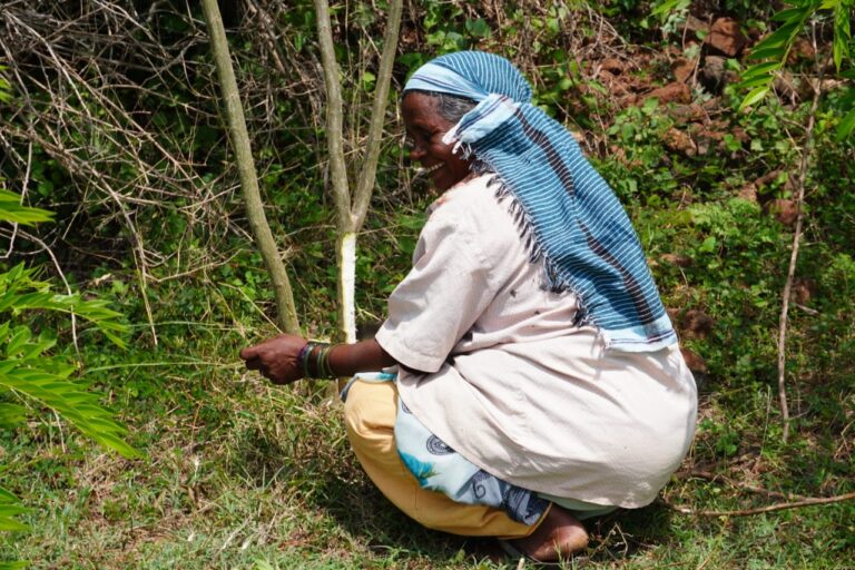 WhatsApp Image 2025 05 27 at 11.17.02