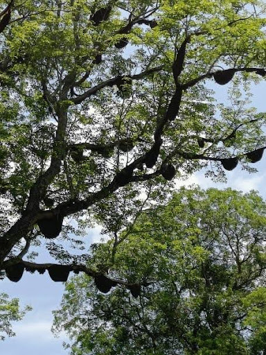 unnamed (7)