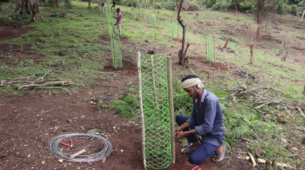 WhatsApp Image 2025 08 05 at 12.13.08 PM (1)