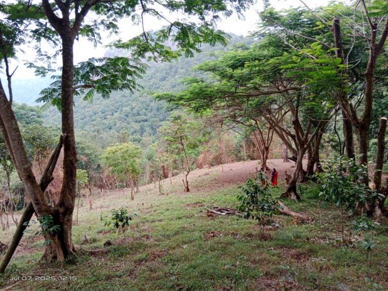 WhatsApp Image 2025 08 05 at 12.13.08 PM