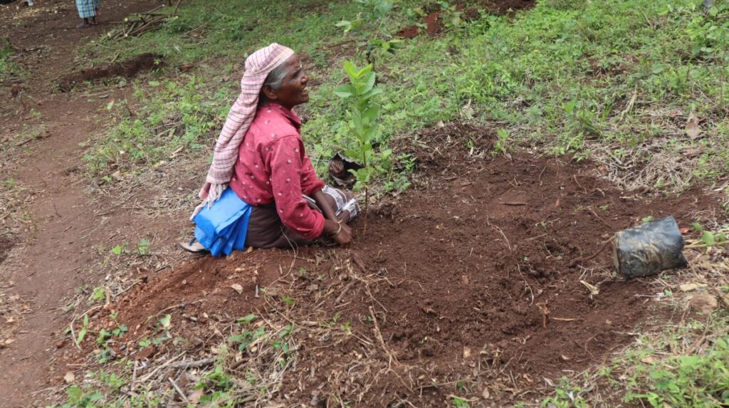 WhatsApp Image 2025 08 05 at 12.13.09 PM