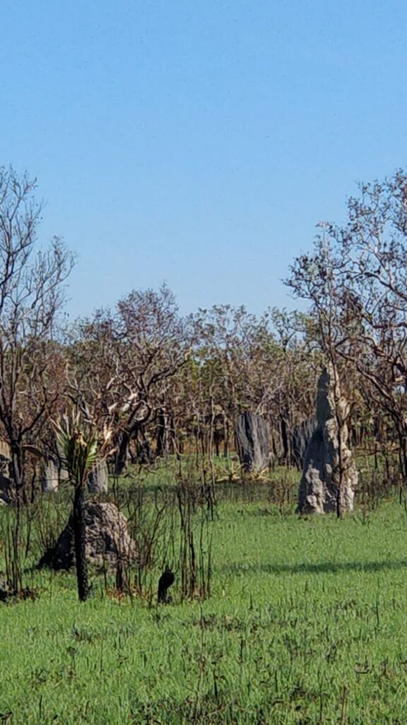 WhatsApp Image 2025 08 07 at 12.03.29 PM