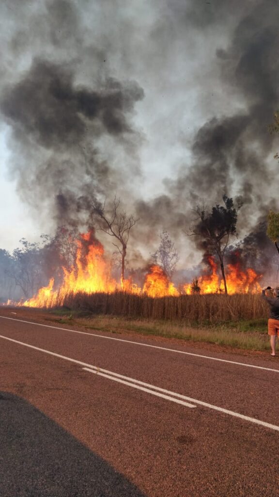 WhatsApp Image 2025 08 07 at 12.03.30 PM