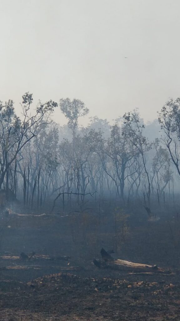 WhatsApp Image 2025 08 07 at 12.03.31 PM (1)