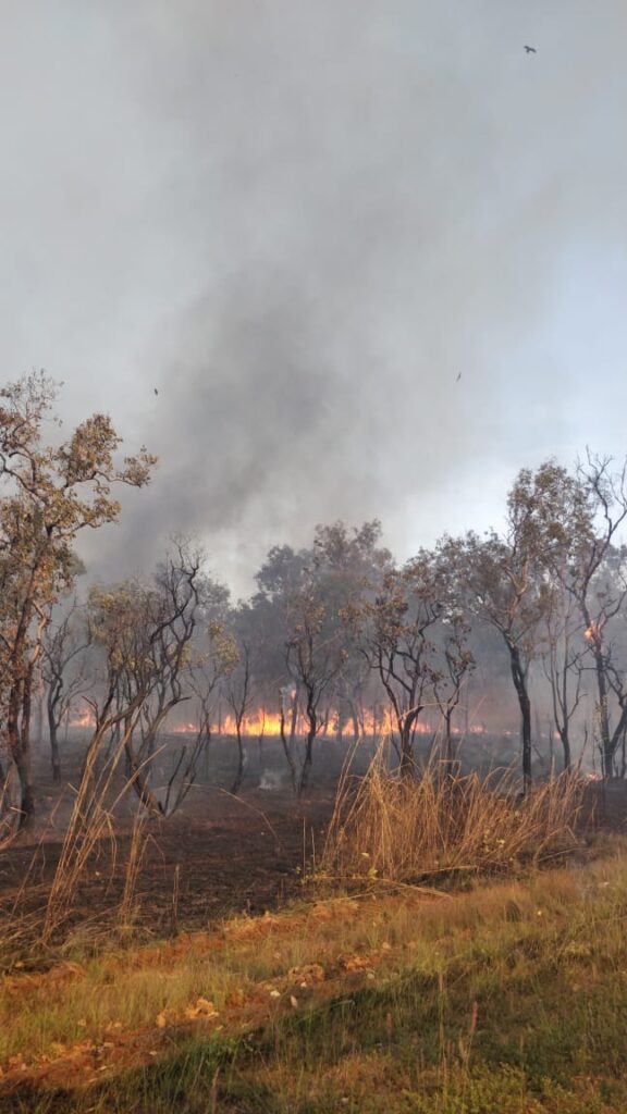 WhatsApp Image 2025 08 07 at 12.03.31 PM