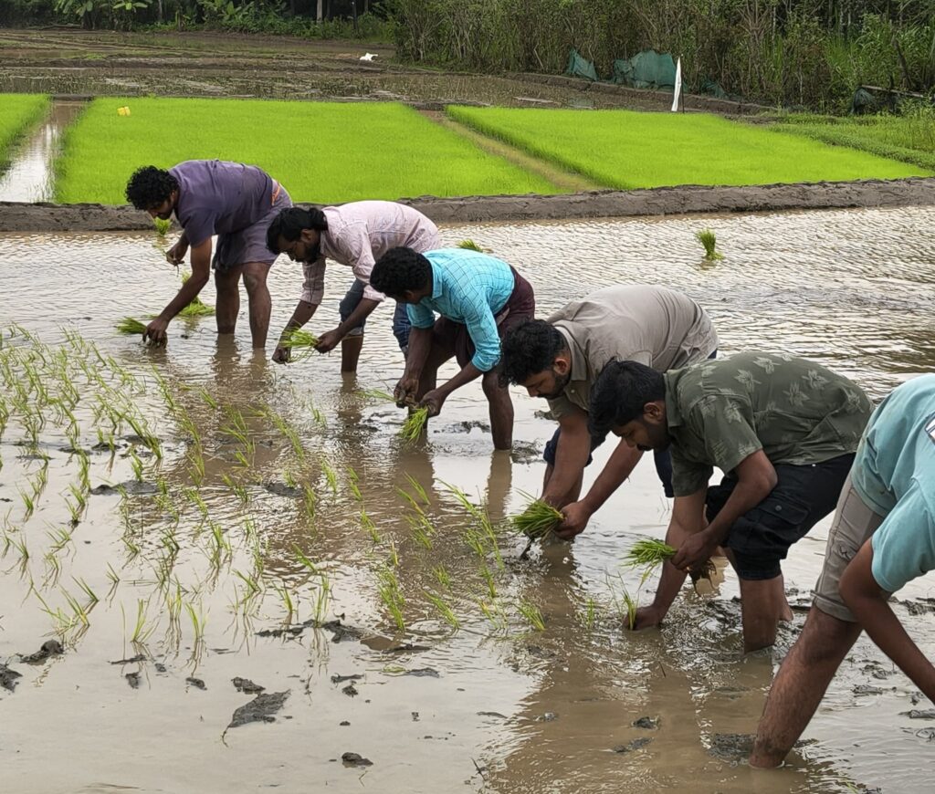 WhatsApp Image 2025 08 07 at 13.11.11