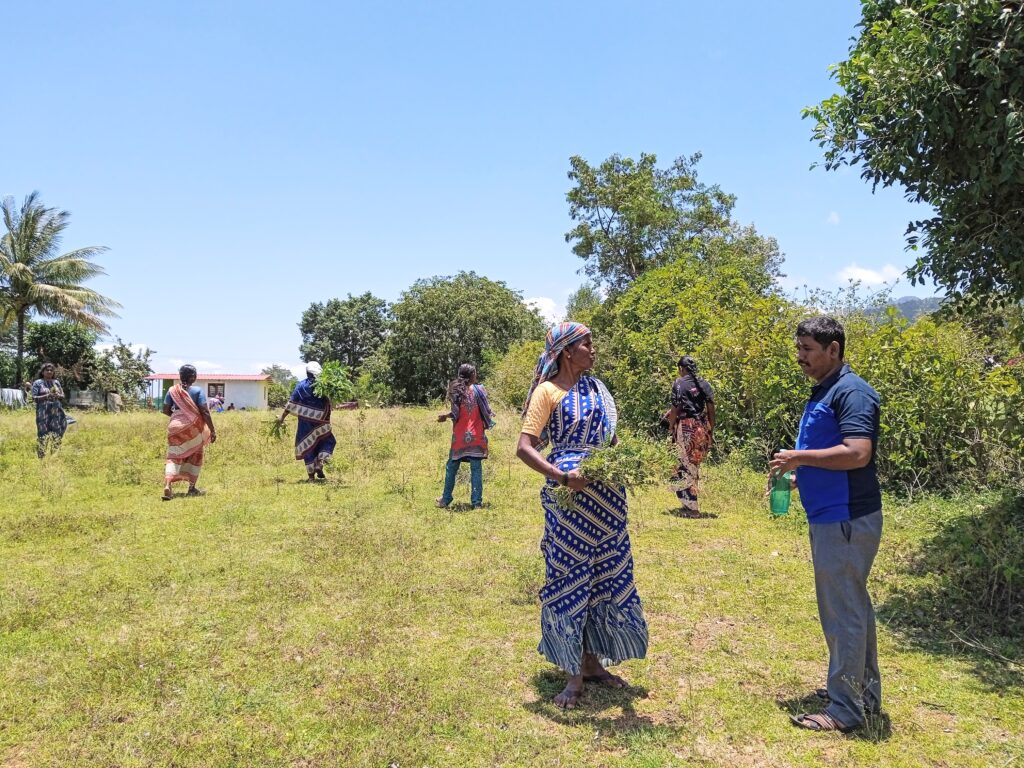 Promoters collecting materials for bioinput
