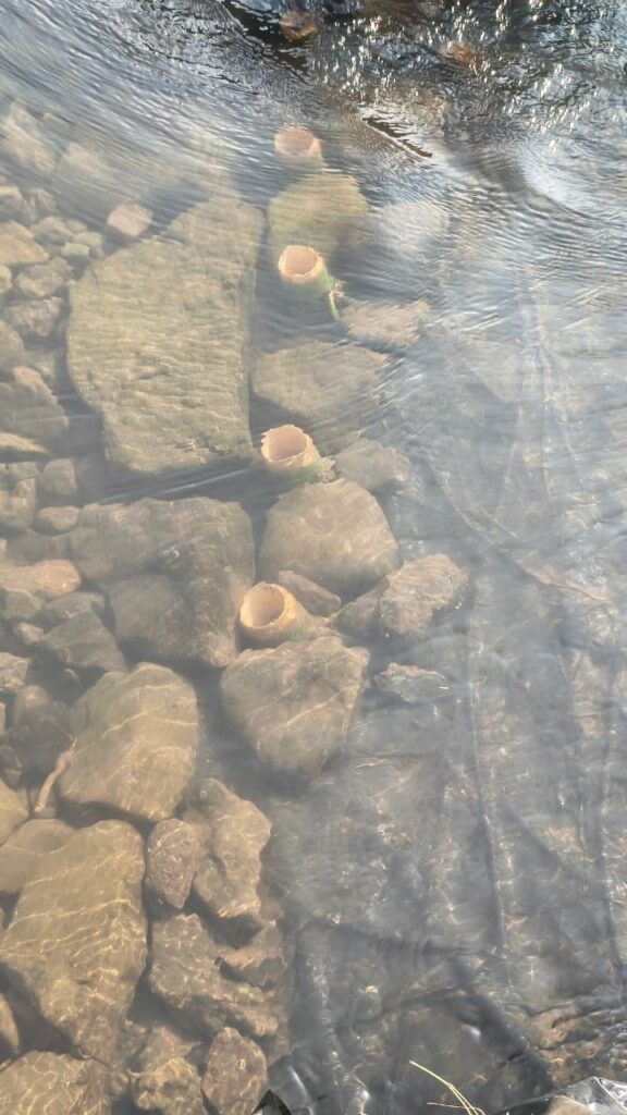 WhatsApp Image 2025 10 06 at 10.37.34 AM (1)