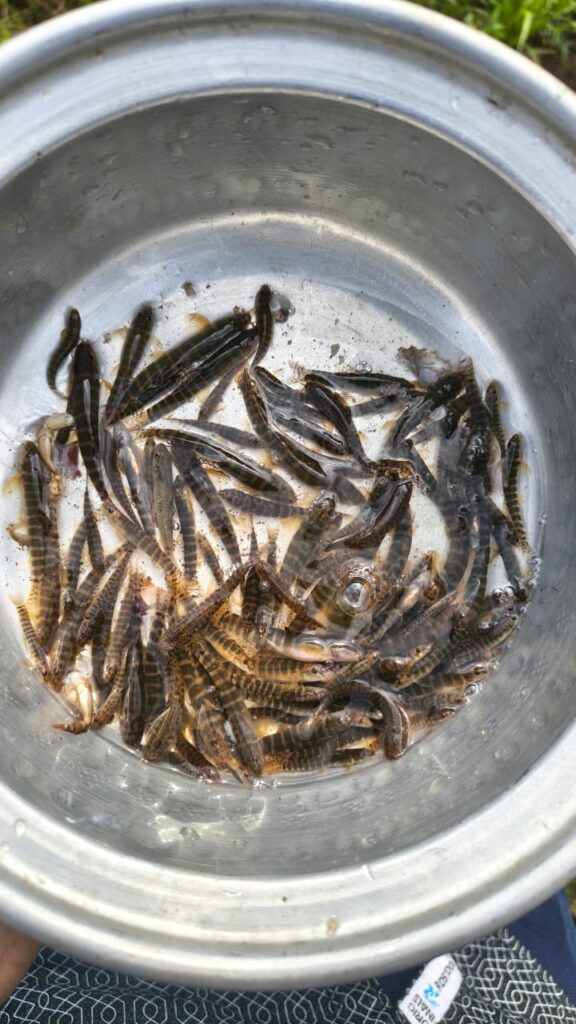 WhatsApp Image 2025 10 06 at 10.37.34 AM (2)