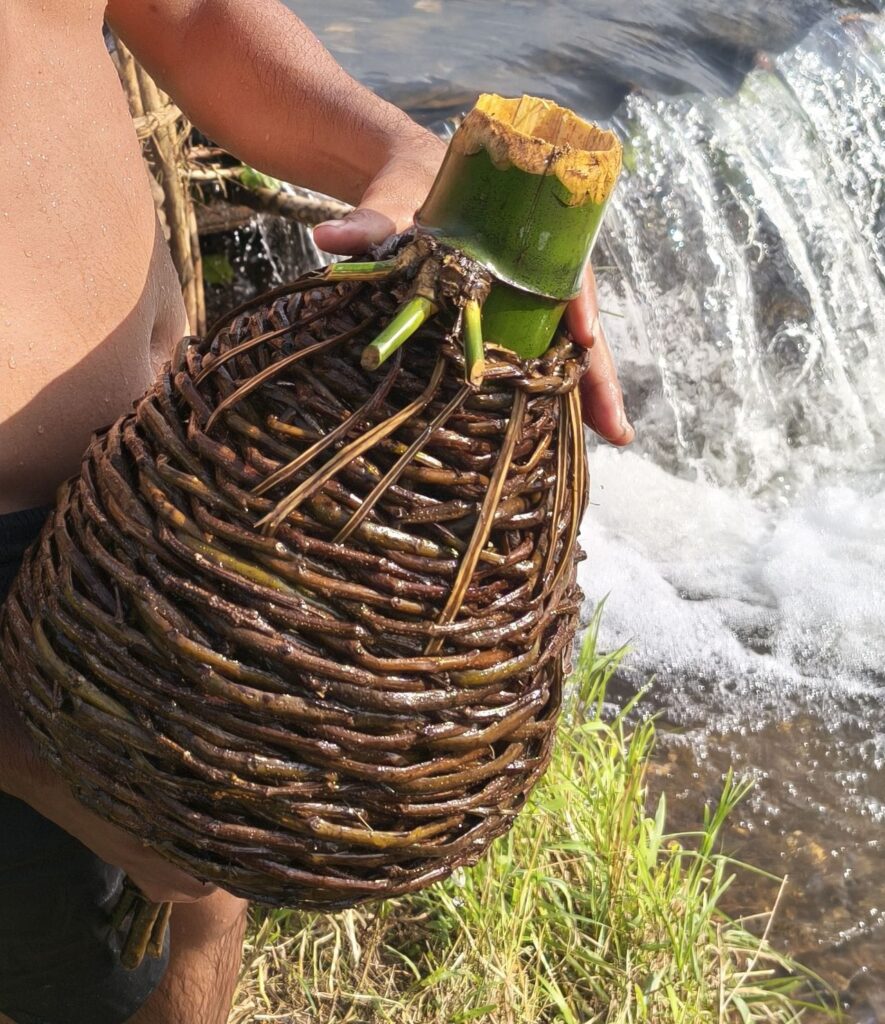 WhatsApp Image 2025 10 06 at 10.37.34 AM