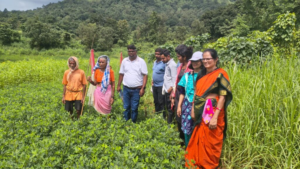 WhatsApp Image 2025 10 07 at 12.10.45 PM