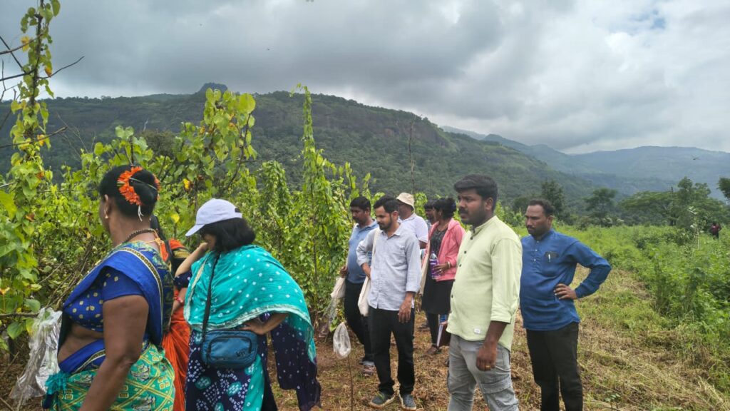 WhatsApp Image 2025 10 07 at 12.10.47 PM