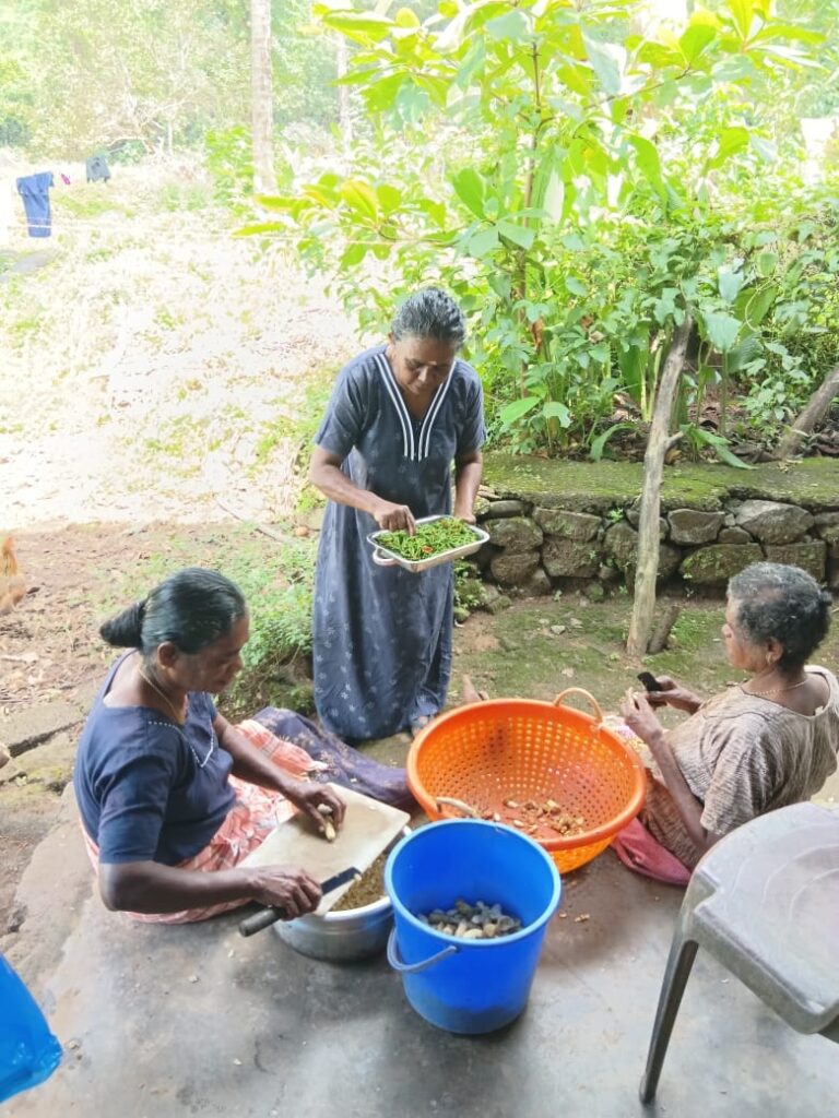 WhatsApp Image 2025 10 07 at 2.38.52 PM