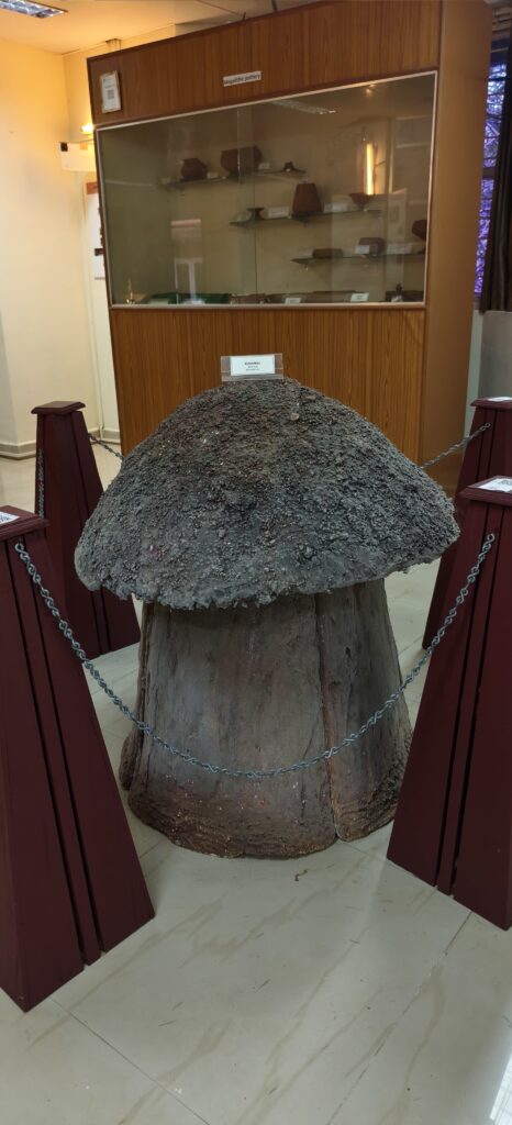 WhatsApp Image 2025 11 06 at 22.15.39