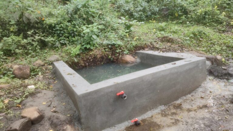 Spring revival Thalamookai