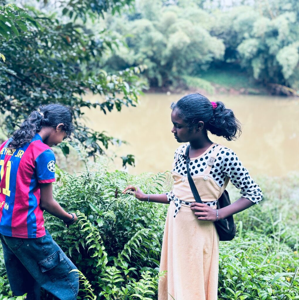 WhatsApp Image 2025 11 26 at 3.29.41 PM