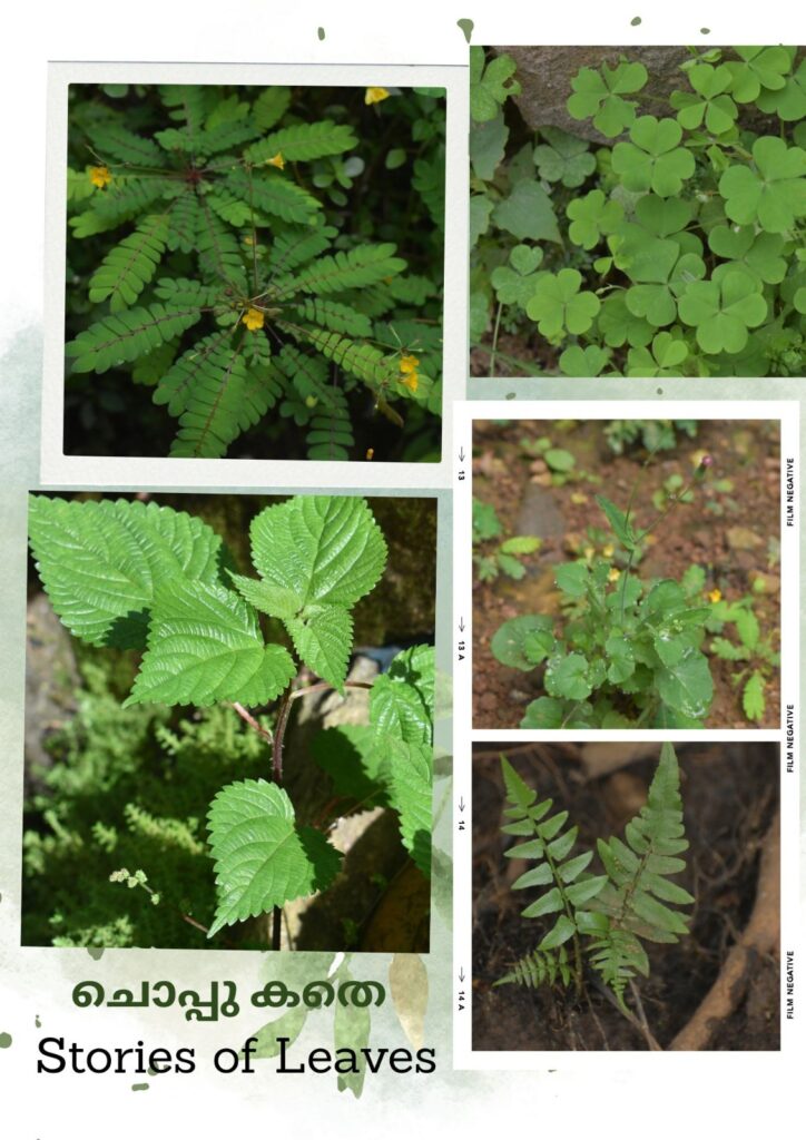 WhatsApp Image 2025 11 26 at 3.31.57 PM