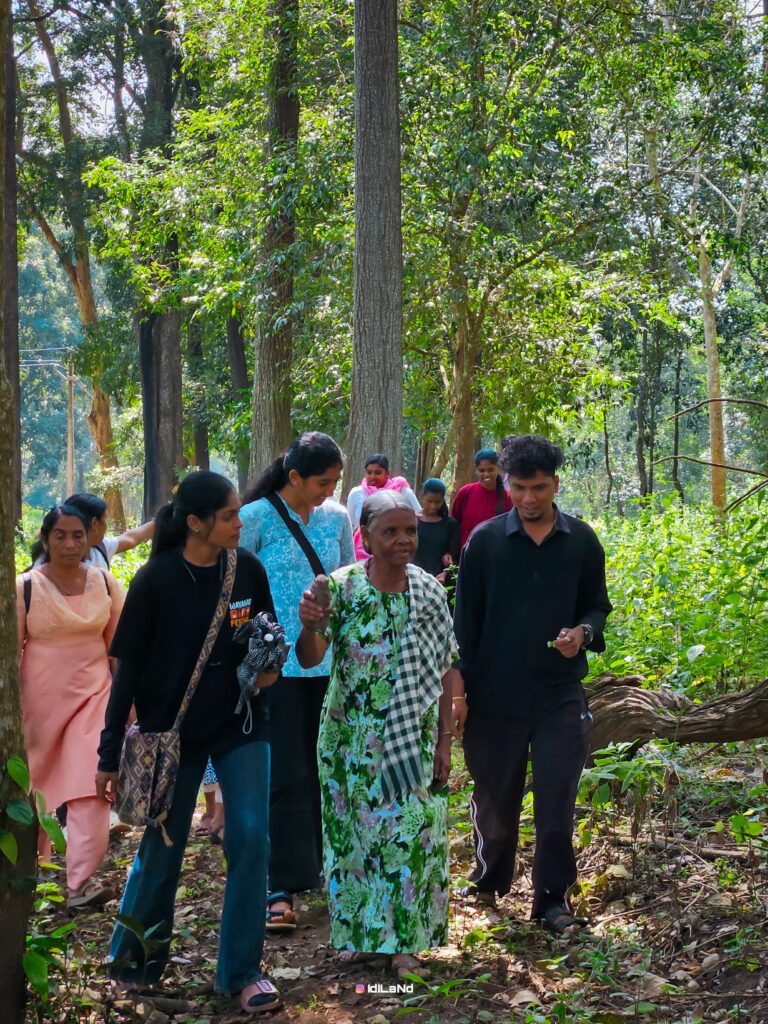 Forest Walk Program 2