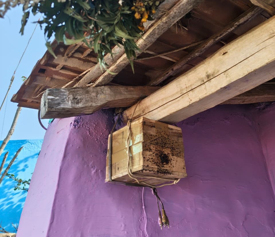 WhatsApp Image 2026 01 28 at 10.29.55 AM