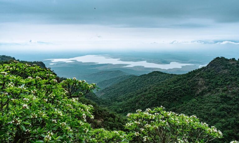 WhatsApp Image 2026 02 04 at 3.30.49 PM