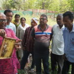 Bee-Keeping Training in Hatnada, Seraikela-Kharsawan District, Jharkhand