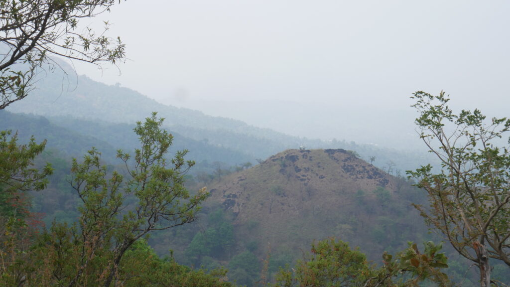 View from Valaramkunnu, Vellamunda sec