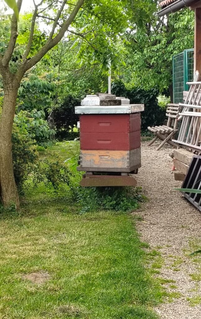Filed visit Bee box