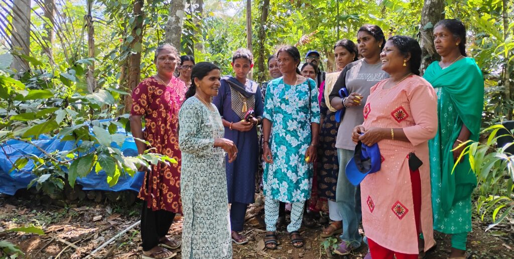 Interaction with Nilambur women bee keepers and Wayanad women beekeepers field visit in Plamula, Wayanad Pc Ayoob(1)