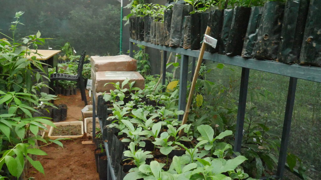 Plants for future