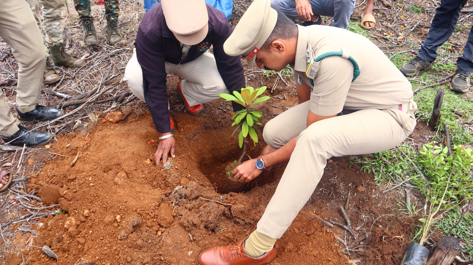 Forest Department officials planting