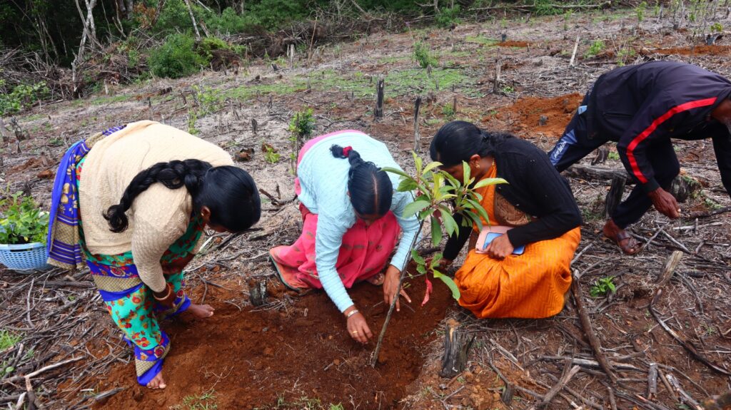 Planting by villagers