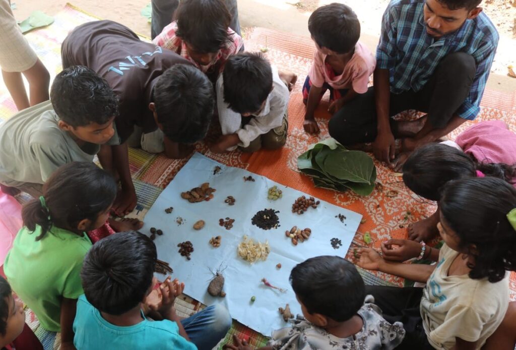 Seed collection and discussion