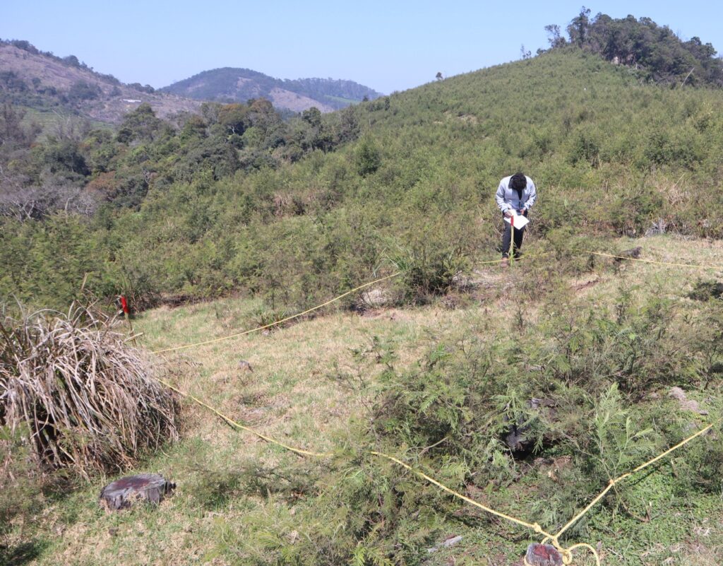 Biodiversity survey conducted before the restoration activities.