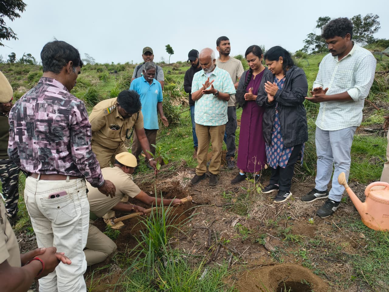 Curson Planting C