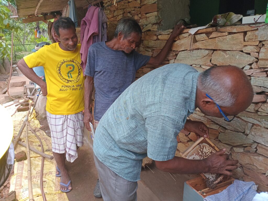 Manoj Das inspecting condition of bee frames in Bee box provided in Patkita village