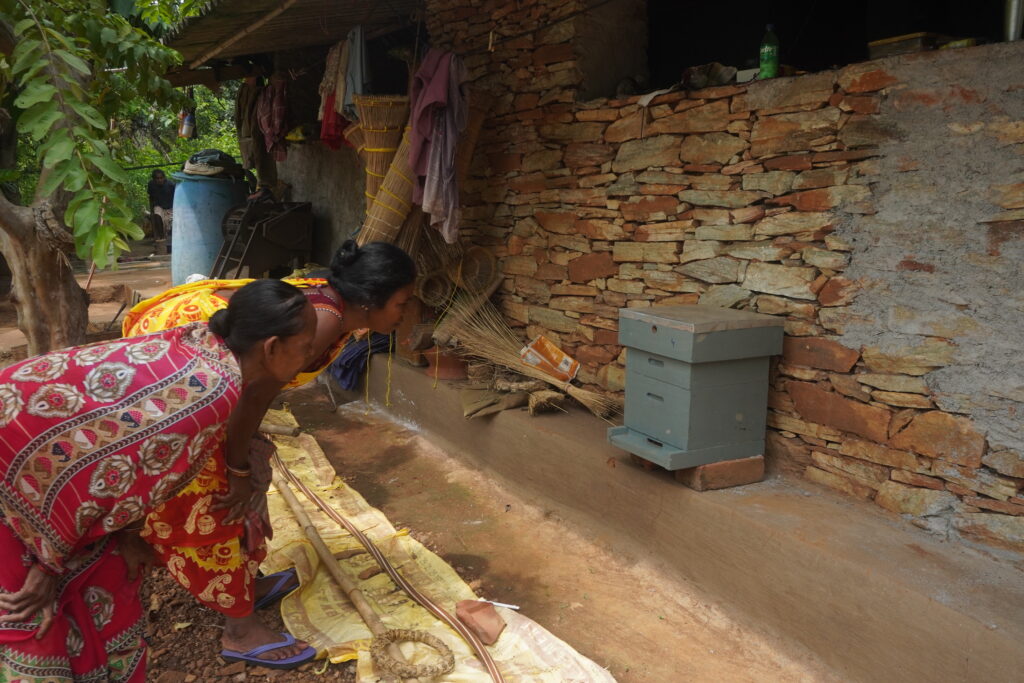 Members of Patkita women's group inspecting bee box